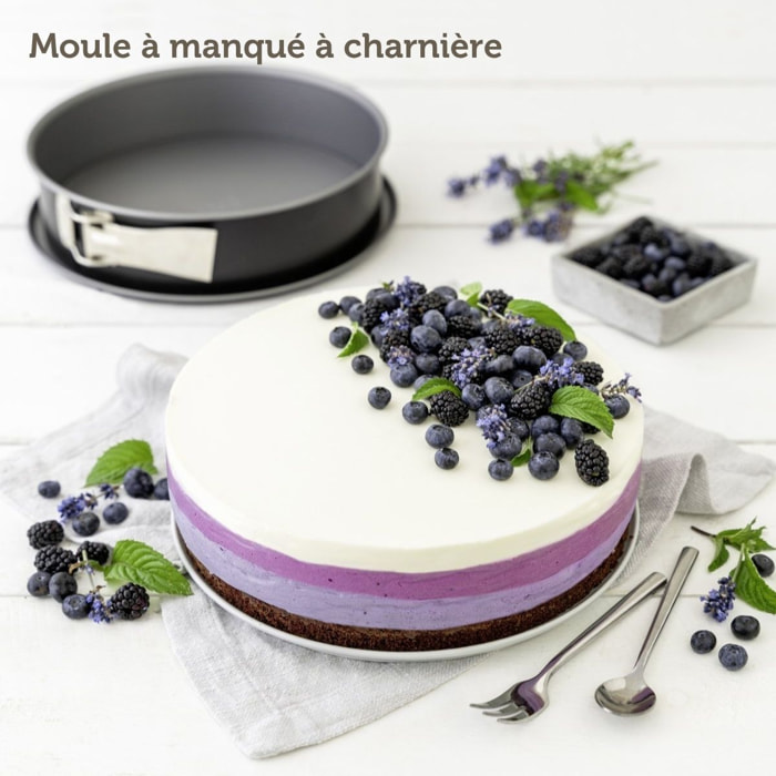 Moule à manqué à charnière en acier Zenker Energy