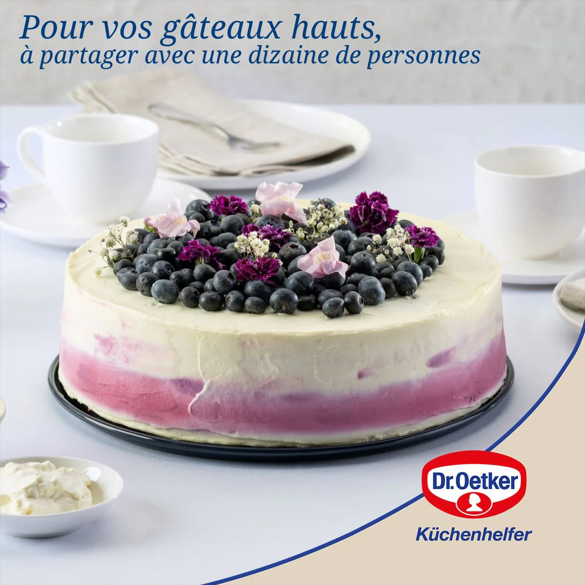 Moule à manqué à charnière 26 cm Dr.Oetker Back Liebe