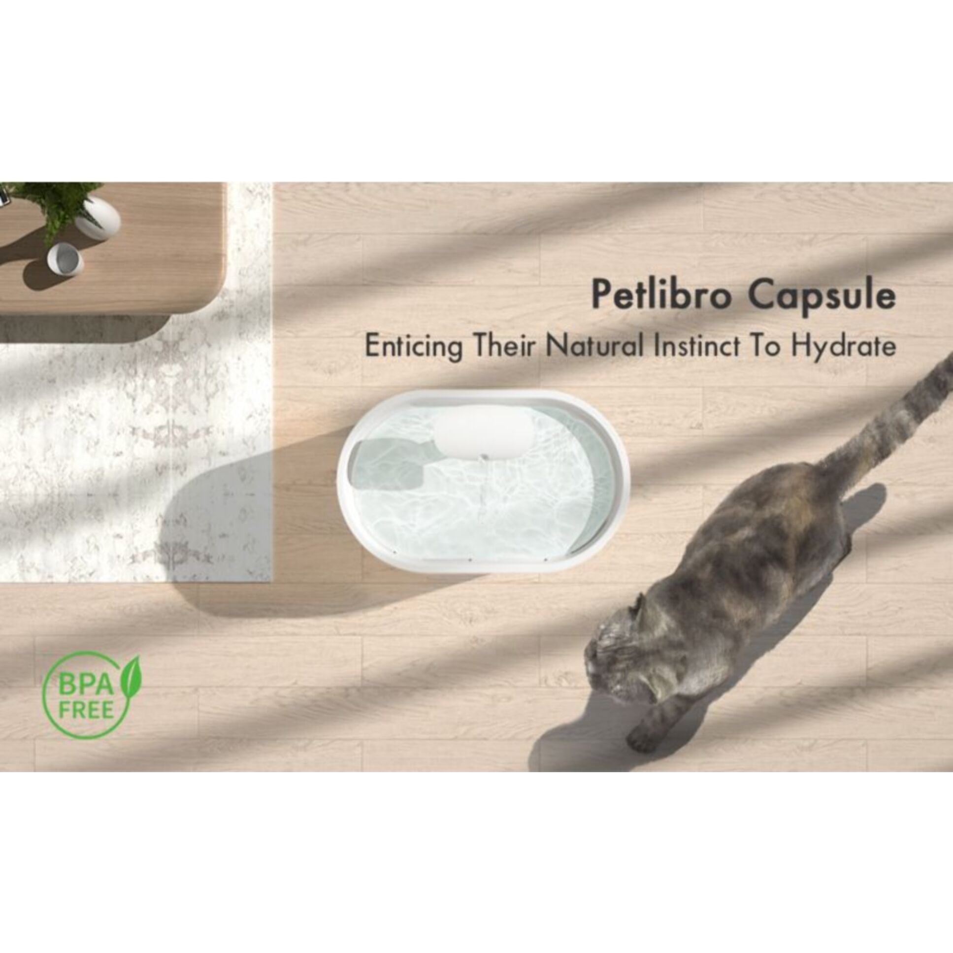 Fontaine PETLIBRO à eau à capsule bleue PLWF002