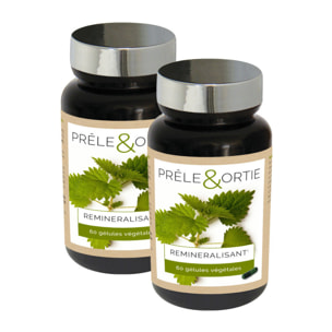 NUTRI EXPERT - Prêle & Ortie - Facilite l'élimination des toxines - Contribue au bon fonctionnement de l'organisme - Vegan - Marque Française - Extraits de plante - Lot de 2 piluliers