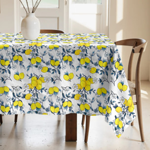 Nappe anti-taches 100% coton Nicolo