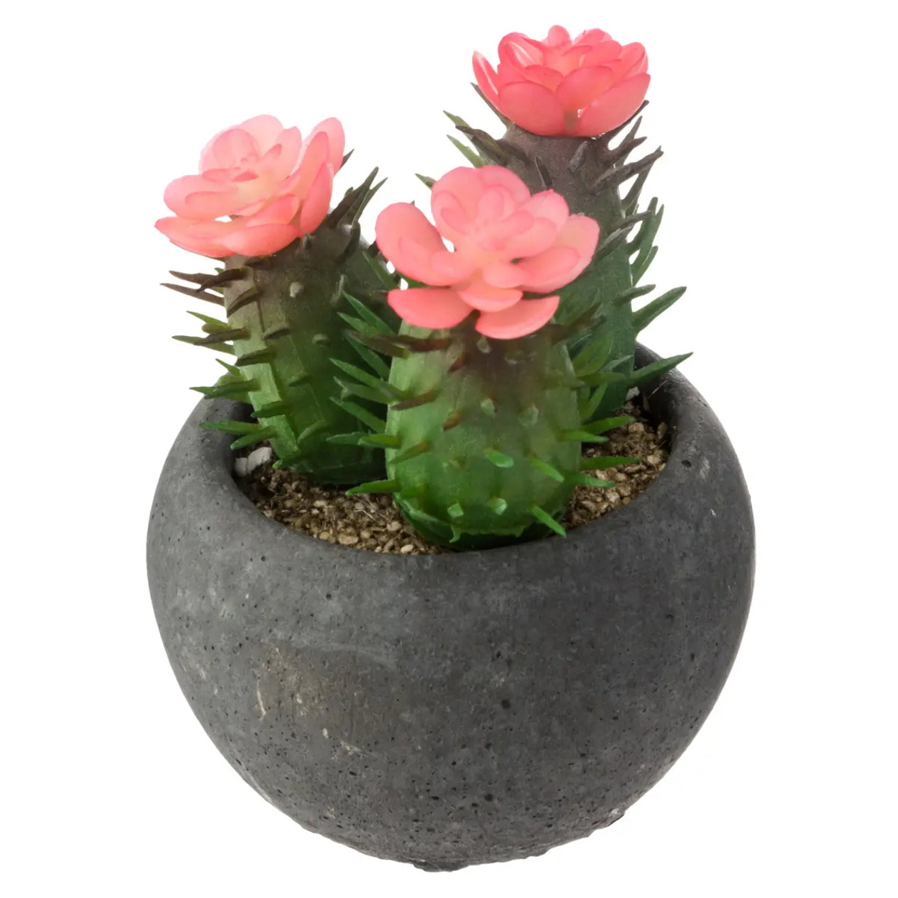 Cactus artificiel pot ciment H11,5cm