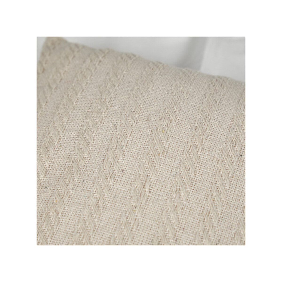 Lot de 2 coussins 40 x 40 cm en coton brodés beige - PLUME
