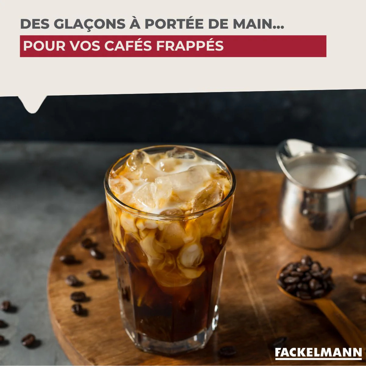 Lot de 2 Bac à glaçons 14 glaçons Fackelmann Bar Concept