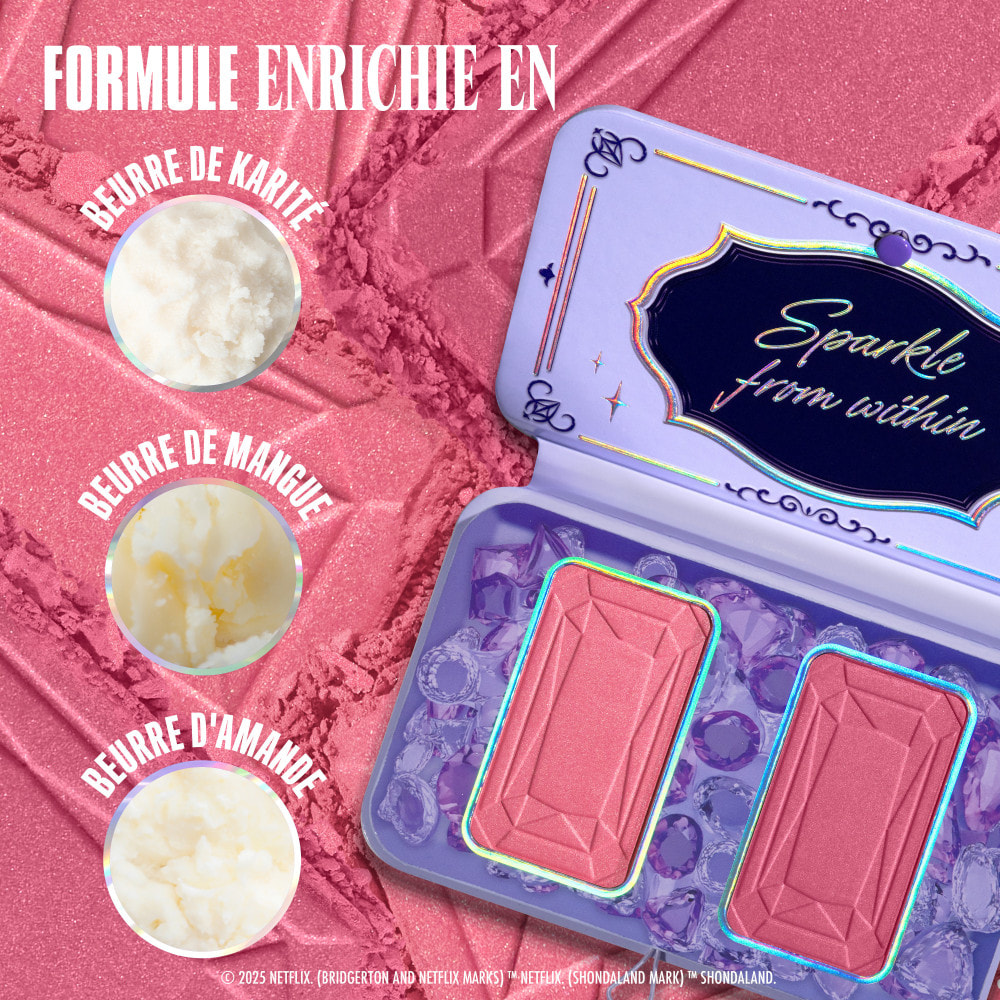 NYX Professional Makeup Collection Limitée Bridgerton Palette Duo Blush LADY IN SILVER