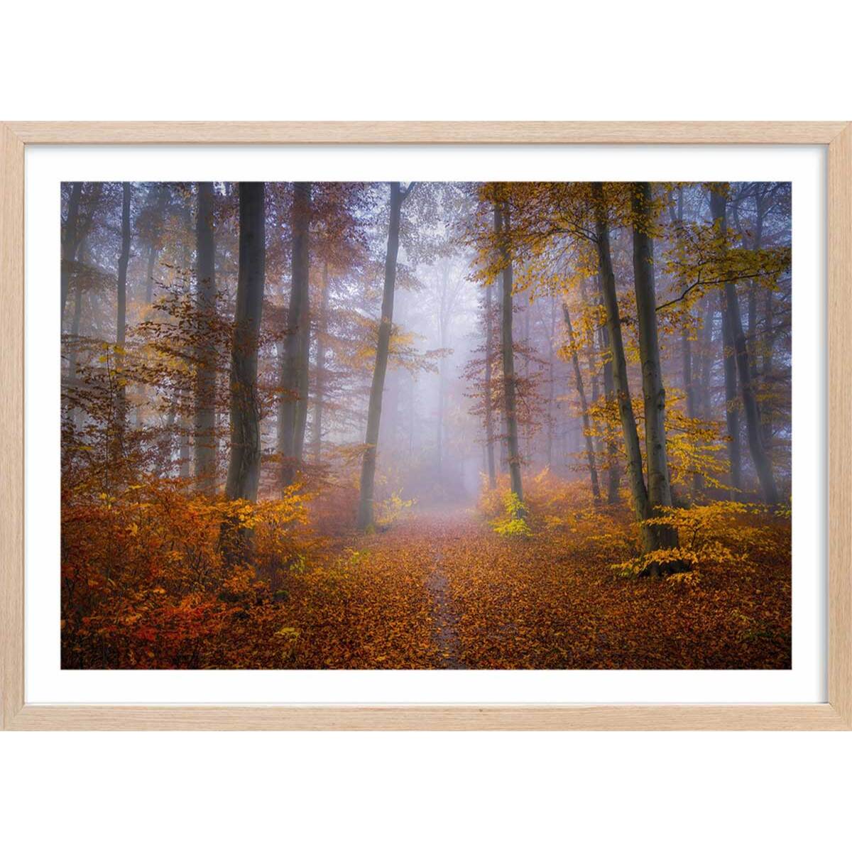 Affiche Chemin d'automne Affiche + cadre en bois - Chêne