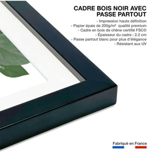 Affiche Feuilles de Monstera Affiche + cadre en bois - Noir