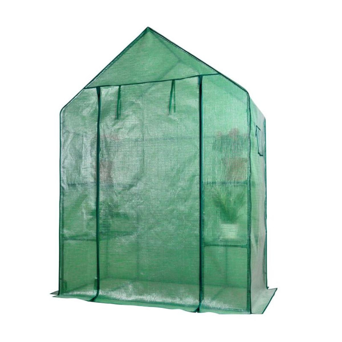 Serre de jardin avec fenetres Herzberg HG8002-VERT