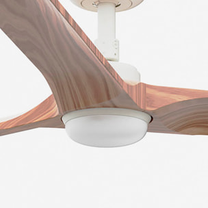 HEYWOOD L LED Ventilador blanco/madera clara DC