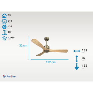Ventilateur de plafond Réversible  Thermostat Wifi Moteur à courant continu Toits en pente Télécommande Hypersilence Mémoire