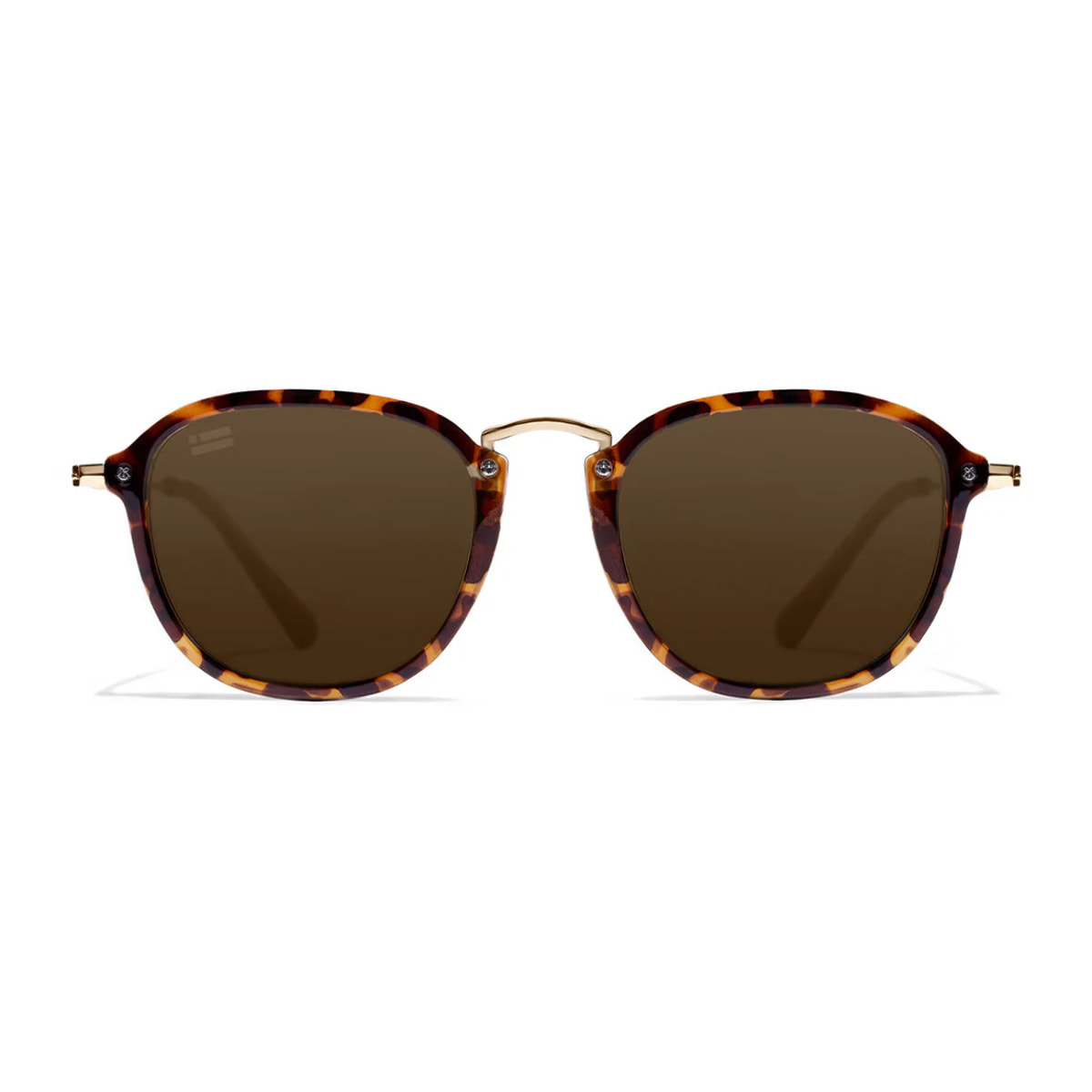 Gafas De Sol D. Franklin Roller SQ Carey
