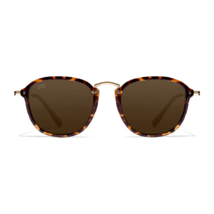 Gafas De Sol D. Franklin Roller SQ Carey