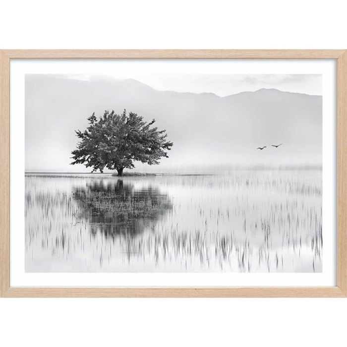 Affiche nature reflets d'eau Affiche + cadre en bois - Chêne