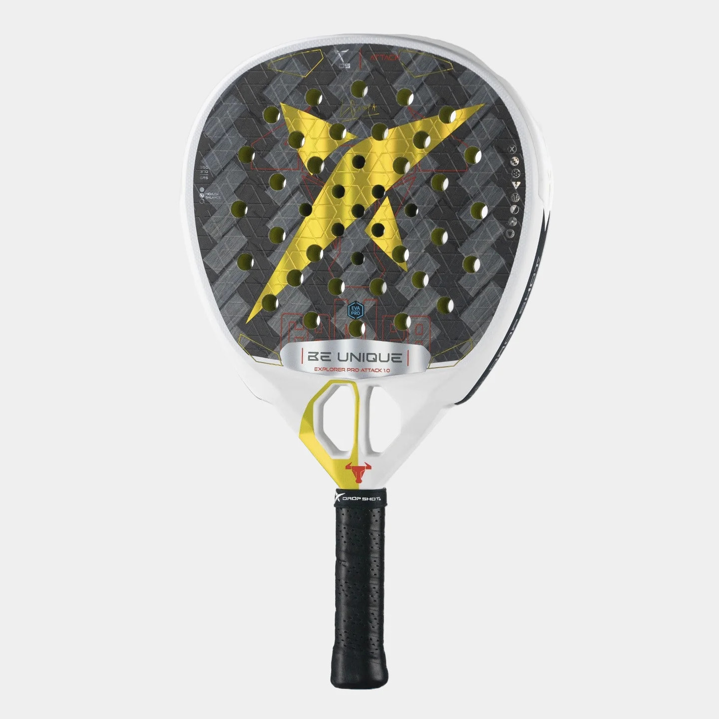 PALA EXPLORER PRO ATTACK 1.0