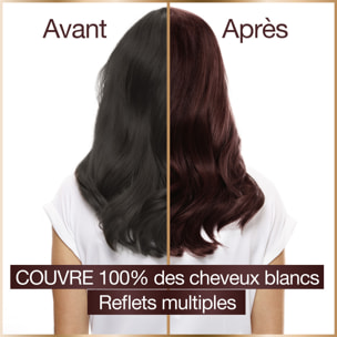 Garnier Good Coloration 4.52 Châtain Acajou Prune 120 g