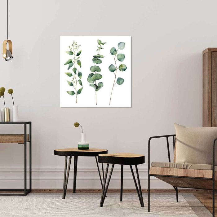 Tableau aquarelle eucalyptus Tableau plexiglas