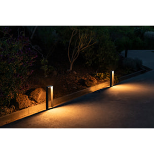 ALP 500 Baliza gris oscuro