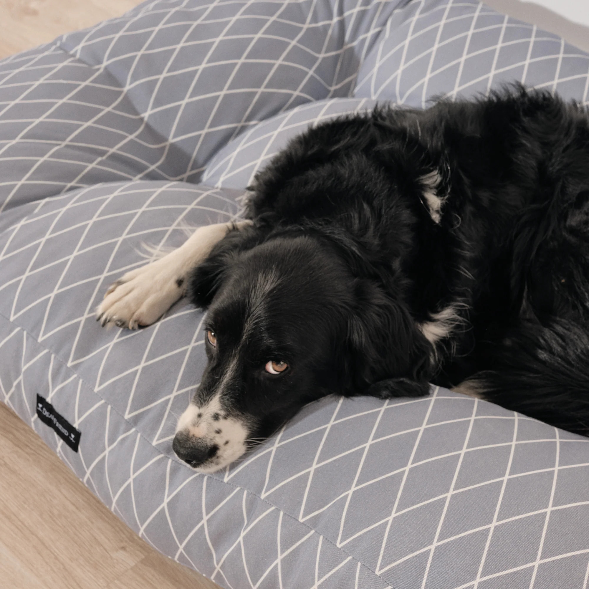 Lit épais et rembourré pour chiens et chats, 100 % coton anti-taches, pour animaux 0120-297