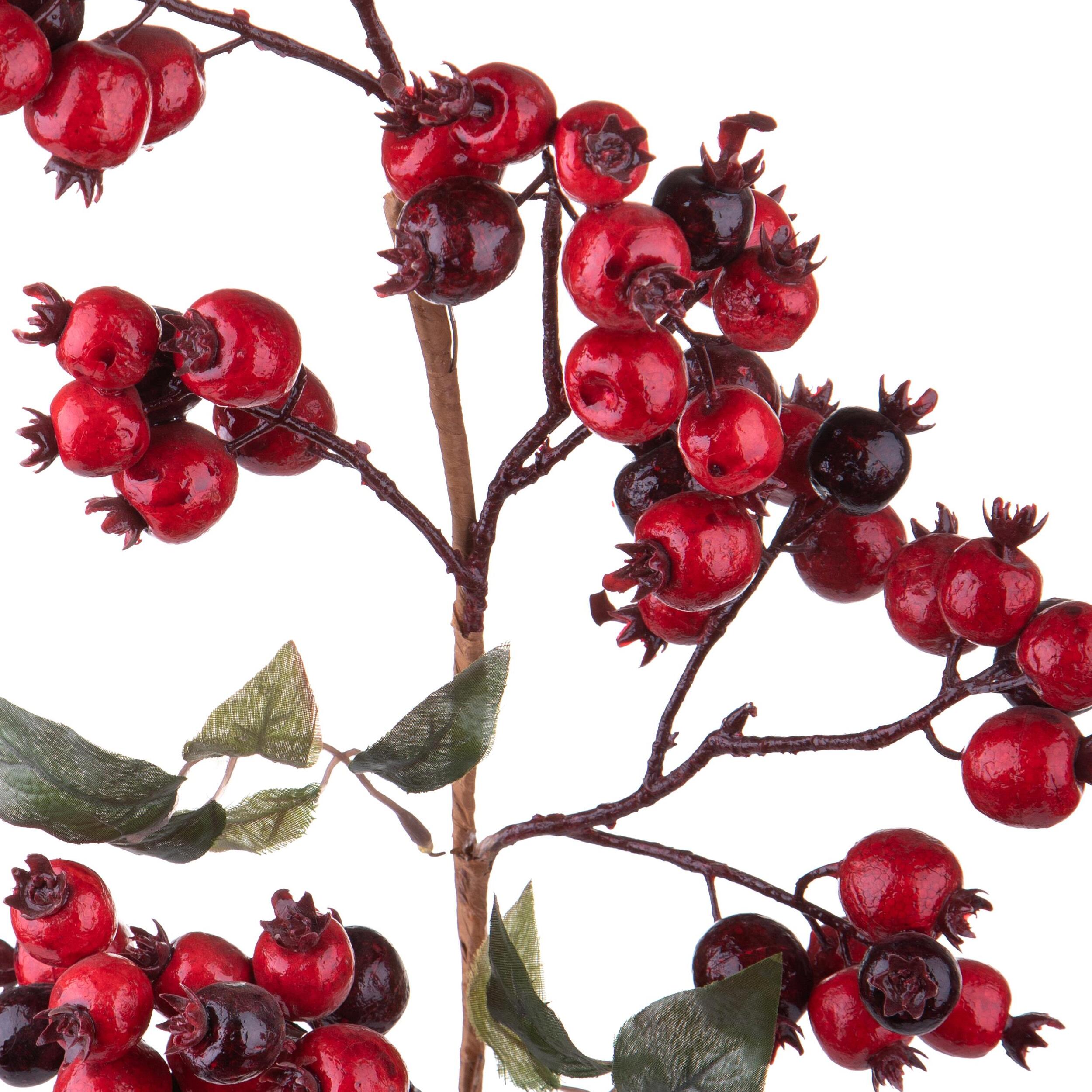 Ramo - Pezzi 6 - 25xH80x12cm - Bianchi Dino SpA