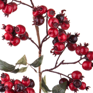 Ramo - Pezzi 6 - 25xH80x12cm - Bianchi Dino SpA