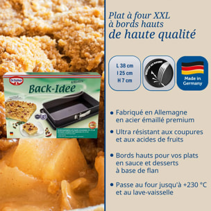 Moule à gâteau et plat four 38 x 25 x 7 cm Dr Oetker Back-Idee Kreativ