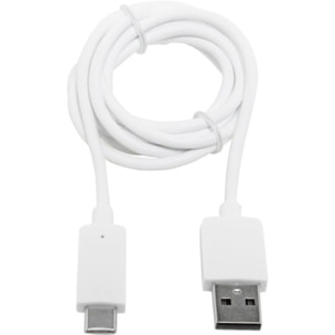 Câble USB C ESSENTIELB vers USB blanc 1m