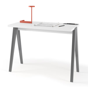 Escritorio Colmar blanco y gris 78x107x49 cm
