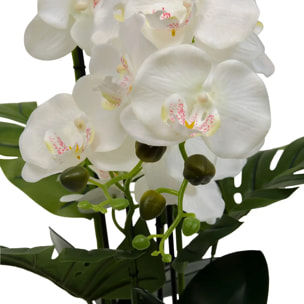 Fleur Artificielle Asia Orchidée H81 cm Pot en Grès Vert