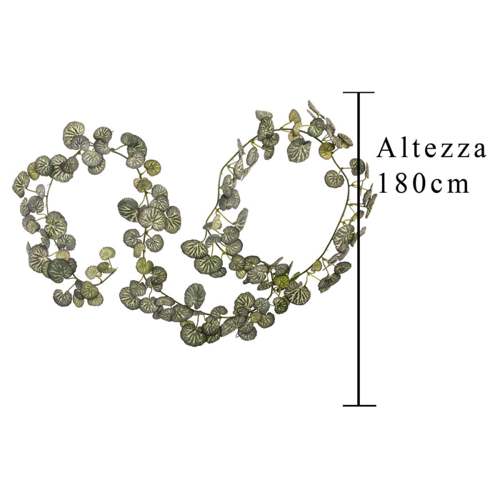 Ghirlanda Saxifraga Con 147 Foglie. Altezza 180 Cm - Pezzi 4 - 8X180X5cm - Colore: Verde - Bianchi Dino - Piante Artificiali