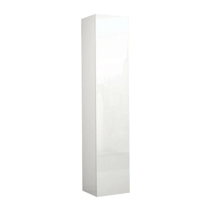 Armadio Multiuso 1 antaBassiano, Mobile multiuso a 1 anta, Guardaroba multifunzione, 45x35h190 cm, Bianco