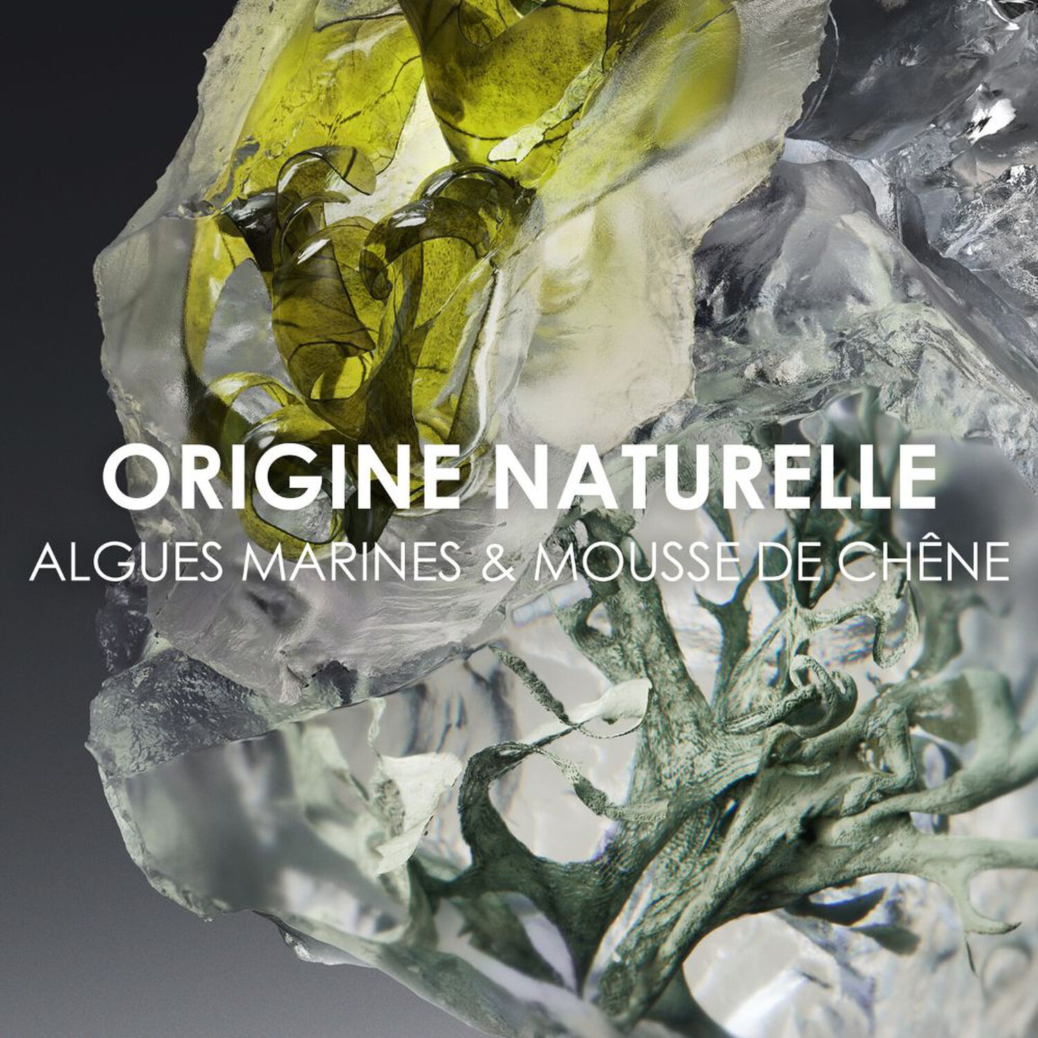 Le Sel D'Issey - Eau de Toilette