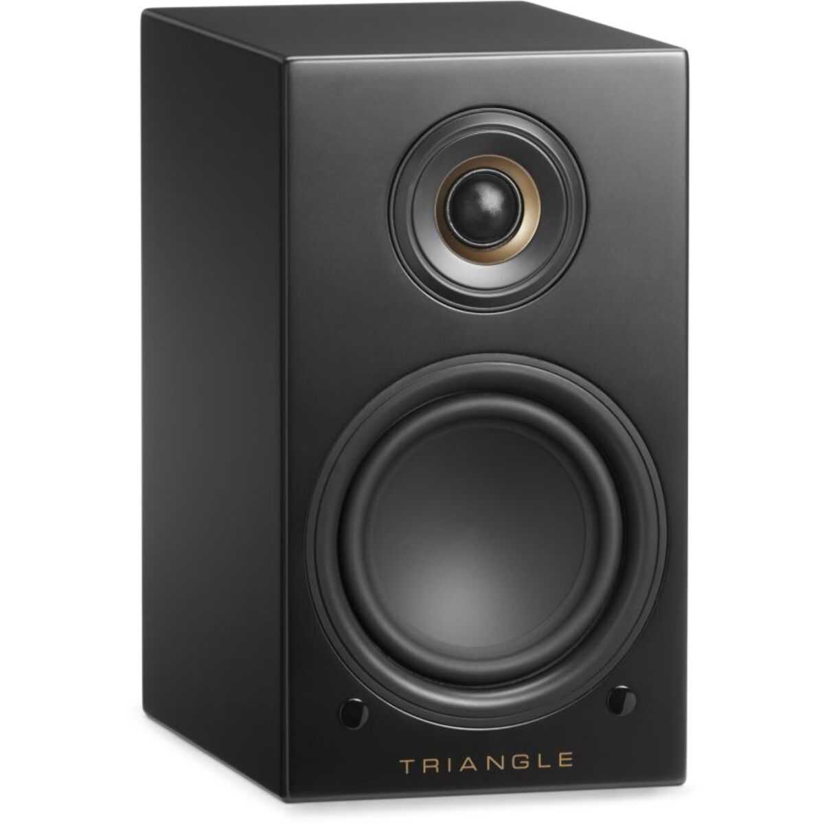 Enceinte bibliothèque active TRIANGLE LN01A ELARA NOIR MAT X2