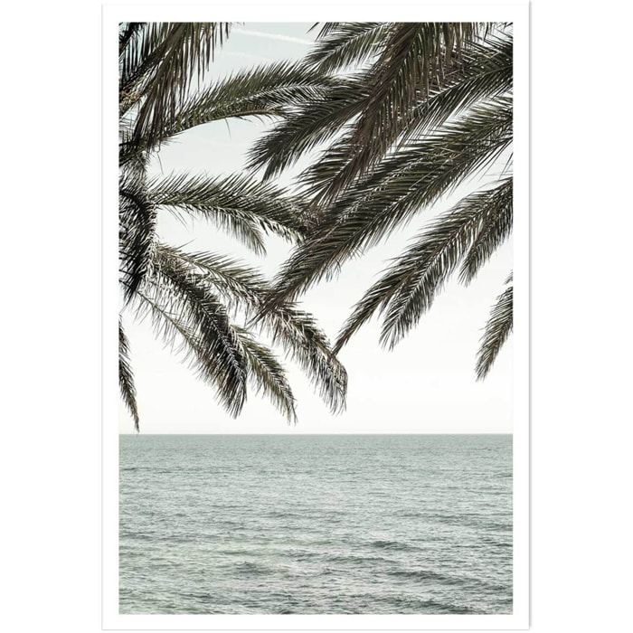 Poster plage tropicale secrète Affiche seule