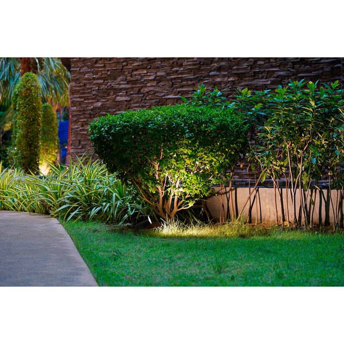 Forlight