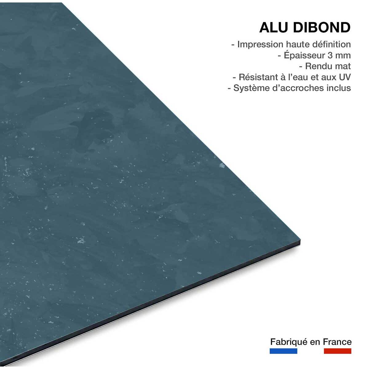 Tableau elephant éléphant d'or  Tableau alu Dibond