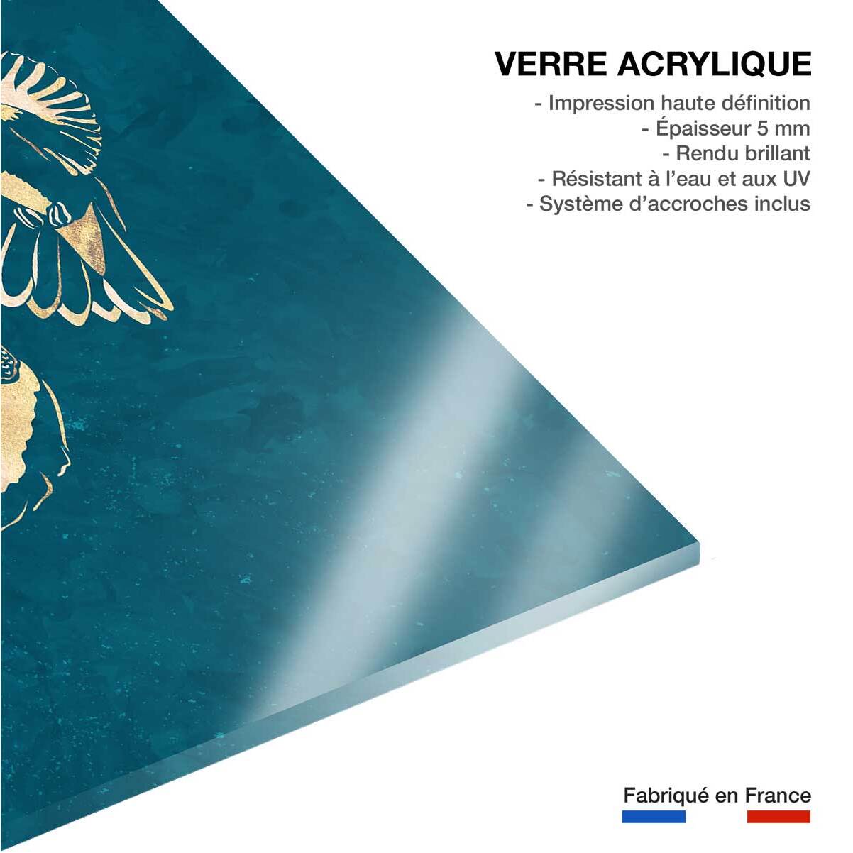 Tableau oiseaux colibri d'or  Tableau plexiglas