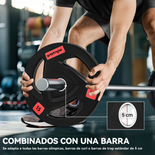 Discos Pesas Olímpicos 15 kg, Agujero Ø50 mm, de Hierro Fundido, Recubierta de Goma, 2 Placas de Pesas con Triple Agarre, para Mancuernas y Barras, Entrenamiento en Casa, Gimnasio, Negro