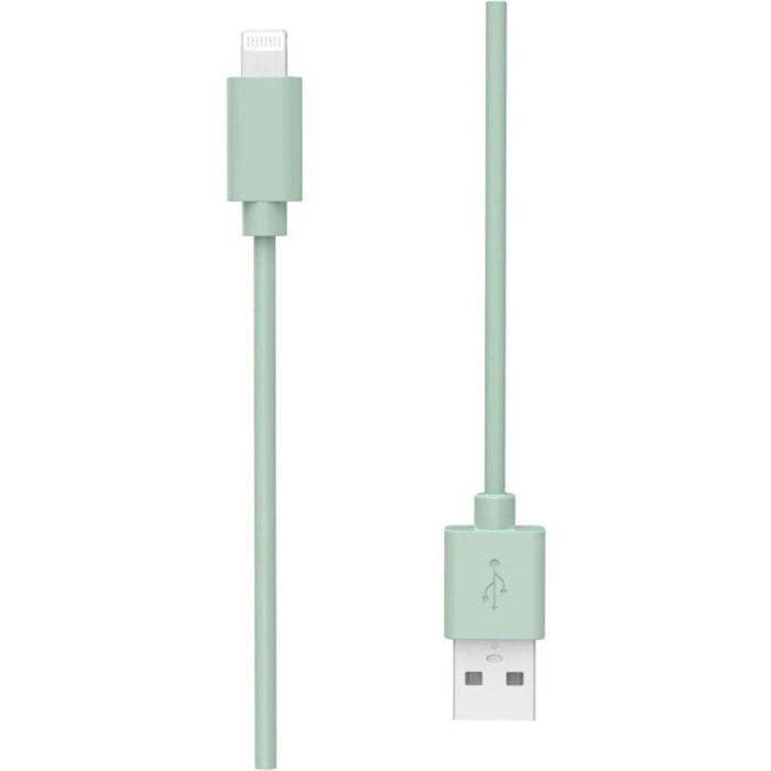 Câble de charge ESSENTIELB USB-A vers Lightning 1M Vert