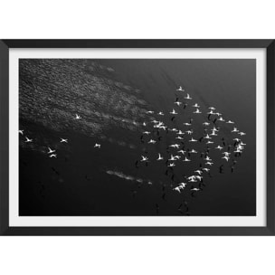 Affiche Take off Affiche + cadre en bois - Noir