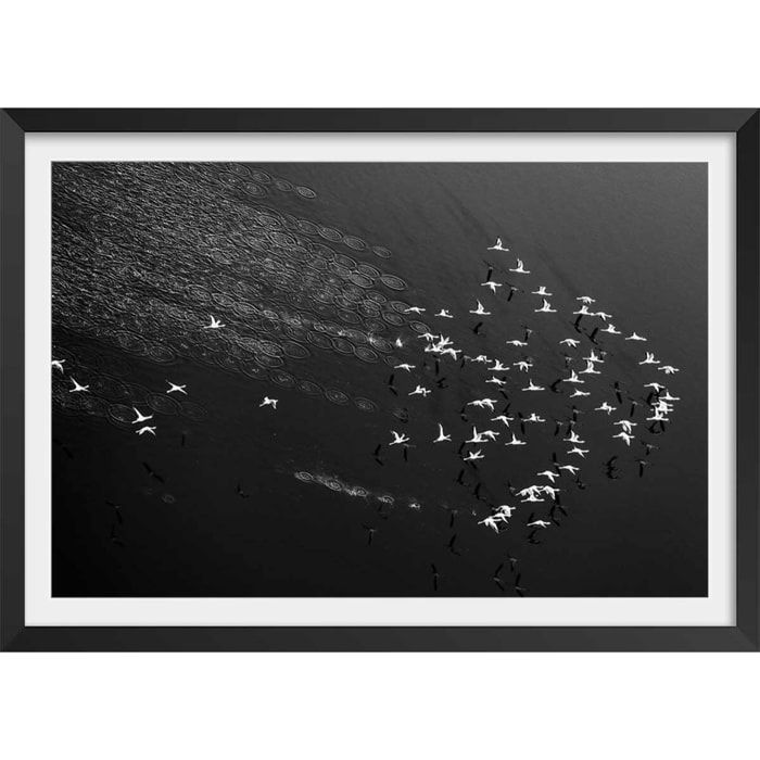 Affiche Take off Affiche + cadre en bois - Noir