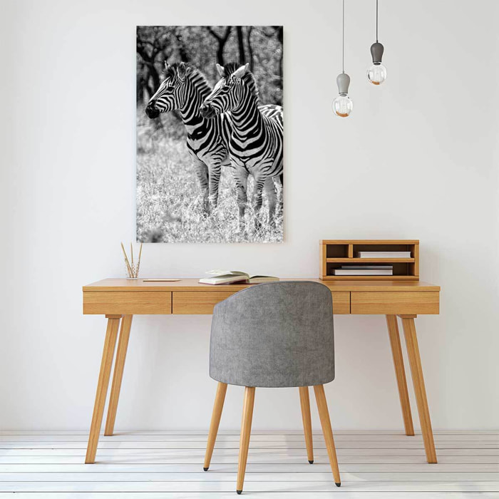 Tableau animaux zebre en duo  Toile imprimée
