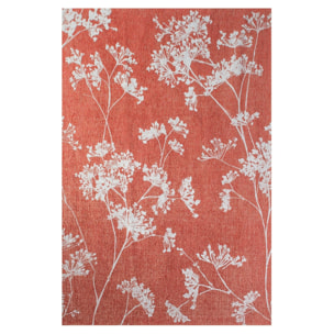 Tapis Inflorescence