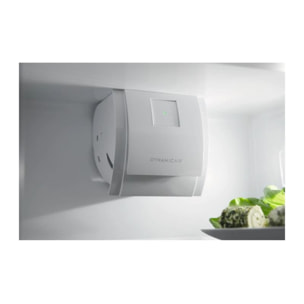 Réfrigérateur combiné encastrable ELECTROLUX ENT6TE18S TwinTech