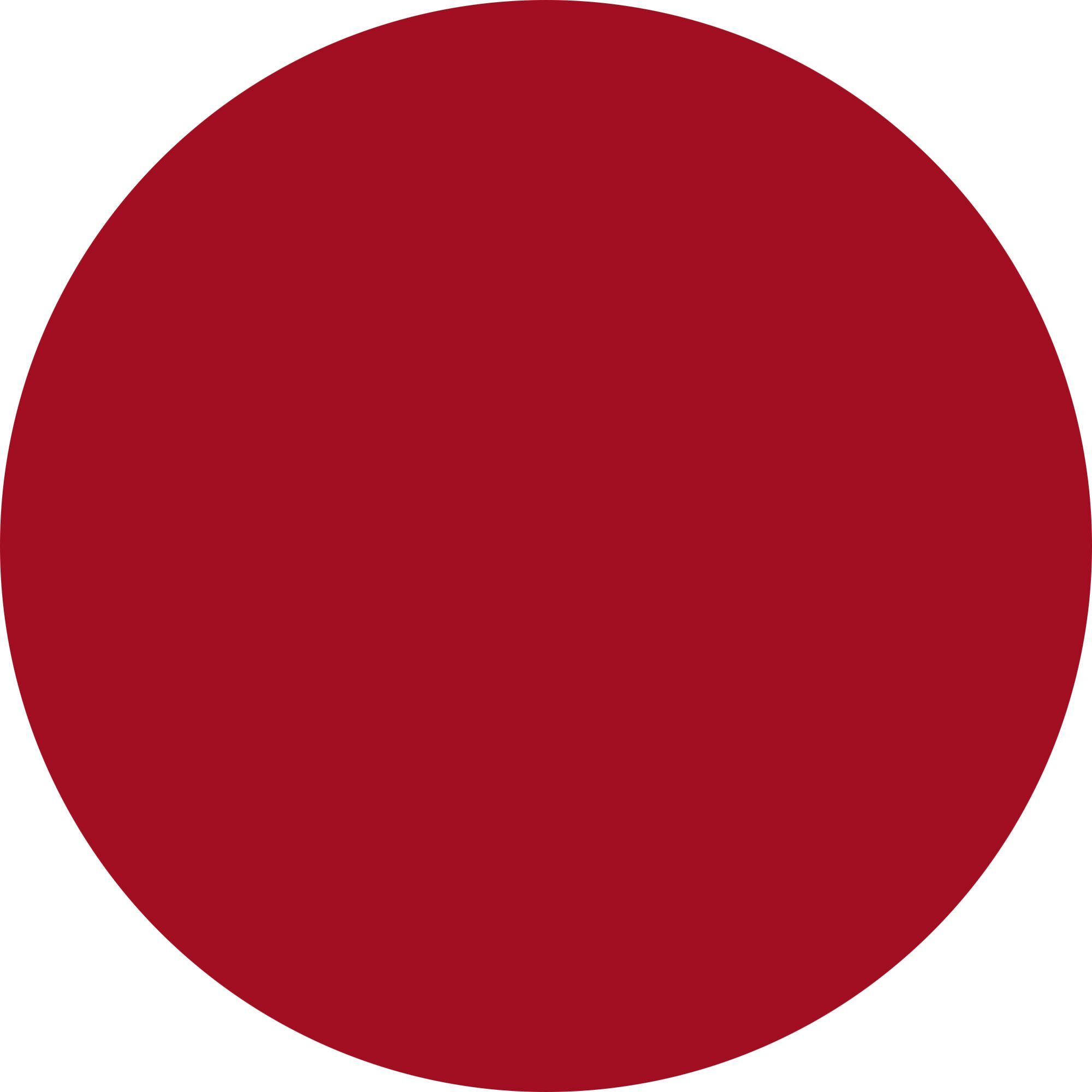 BRIGHT STAIN - LIP TINT Tinta labbra dal finish luminoso