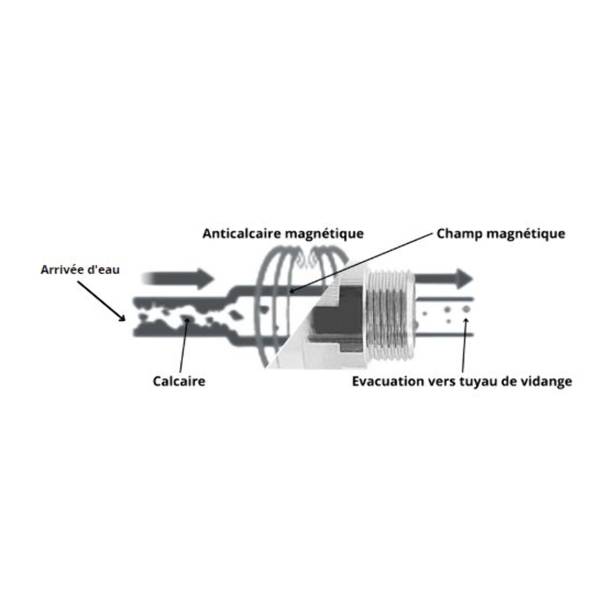 Anti-calcaire magnétique ESSENTIELB Pour lave-linge et lave vaisselle