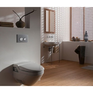 Sigma 20 nouveau modele acier inoxydable, brossé/poli (Sigma20-V)