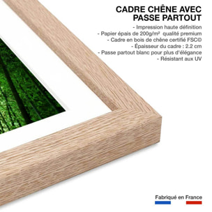 Affiche nature forêt de bambous à kyoto Affiche + cadre en bois - Chêne