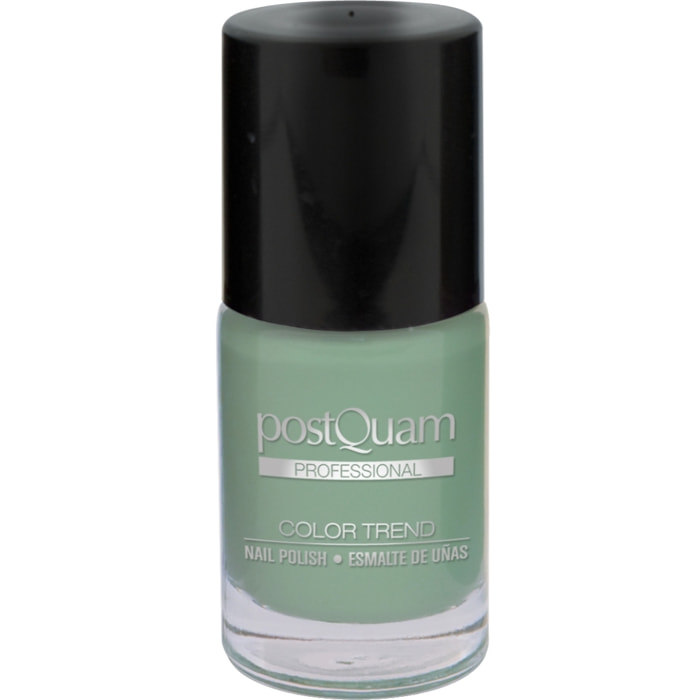 Vernis à ongles pastel gass vert pastel 10 ml.