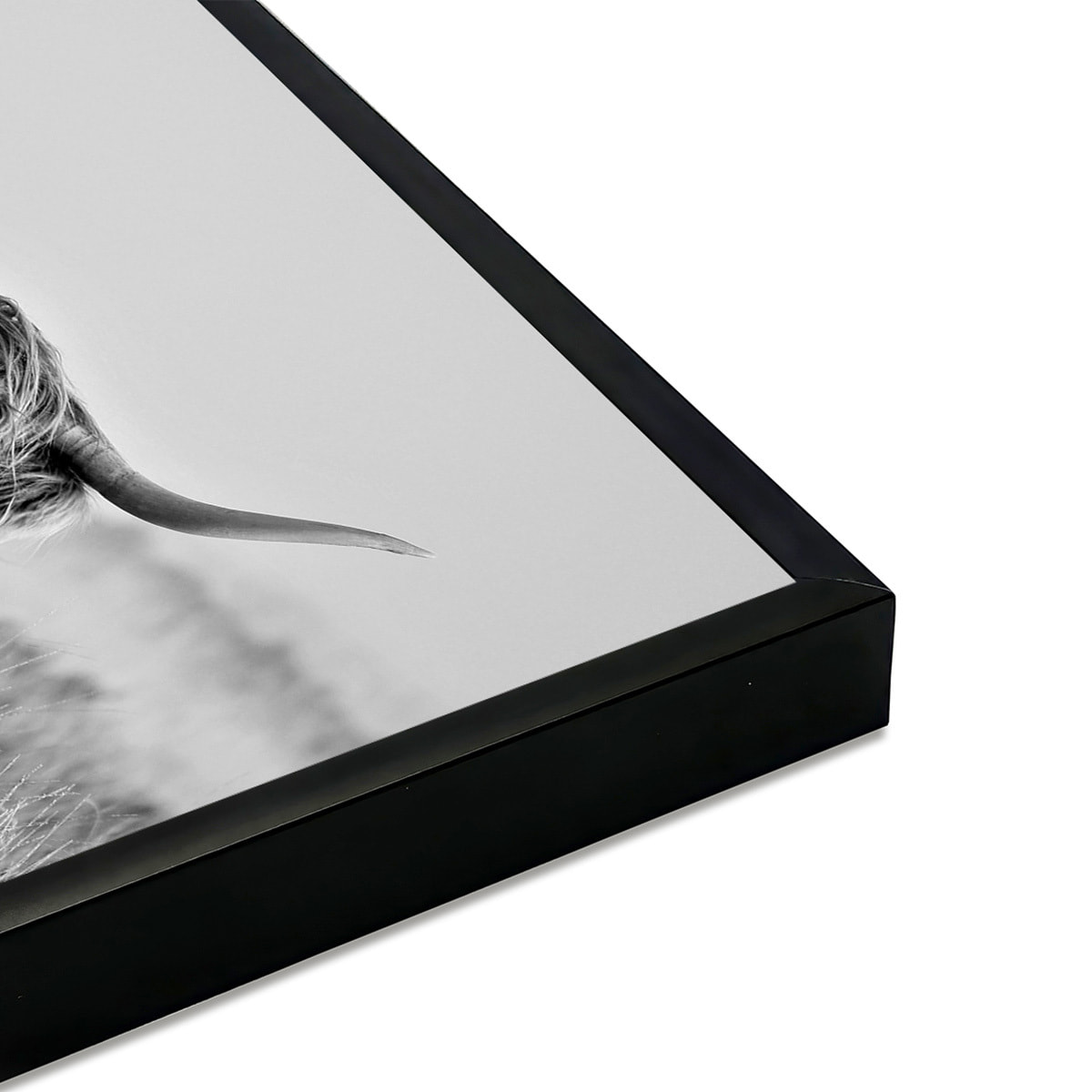 Affiche encadrée Highland écossais en noir et blanc Affiche + cadre en métal - Noir