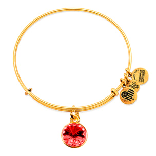 Pulsera Alex And Ani Mujer A19EB40SG